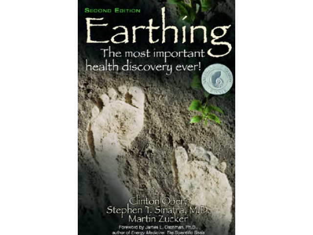 earthing book free download