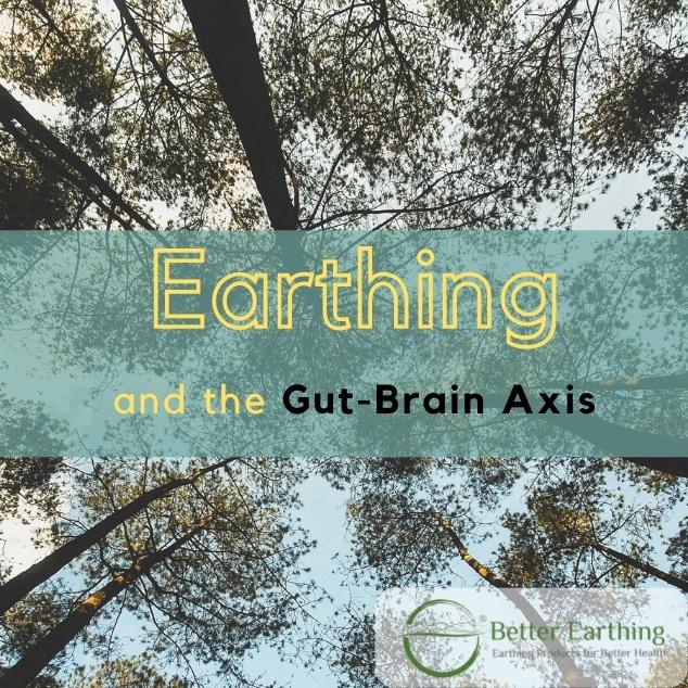grounding and gut brain axis